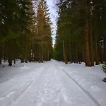 아파트 Gorski Widok *