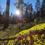 Gorski Widok 스클라르스카포렘바
