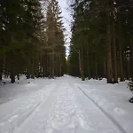 Gorski Widok