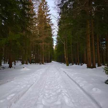 Appartement Gorski Widok *