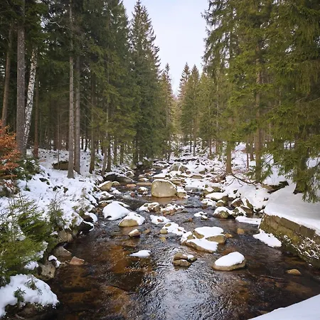 Appartement Gorski Widok *