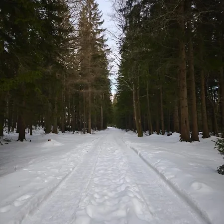 Gorski Widok