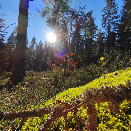 Gorski Widok Szklarska Poręba